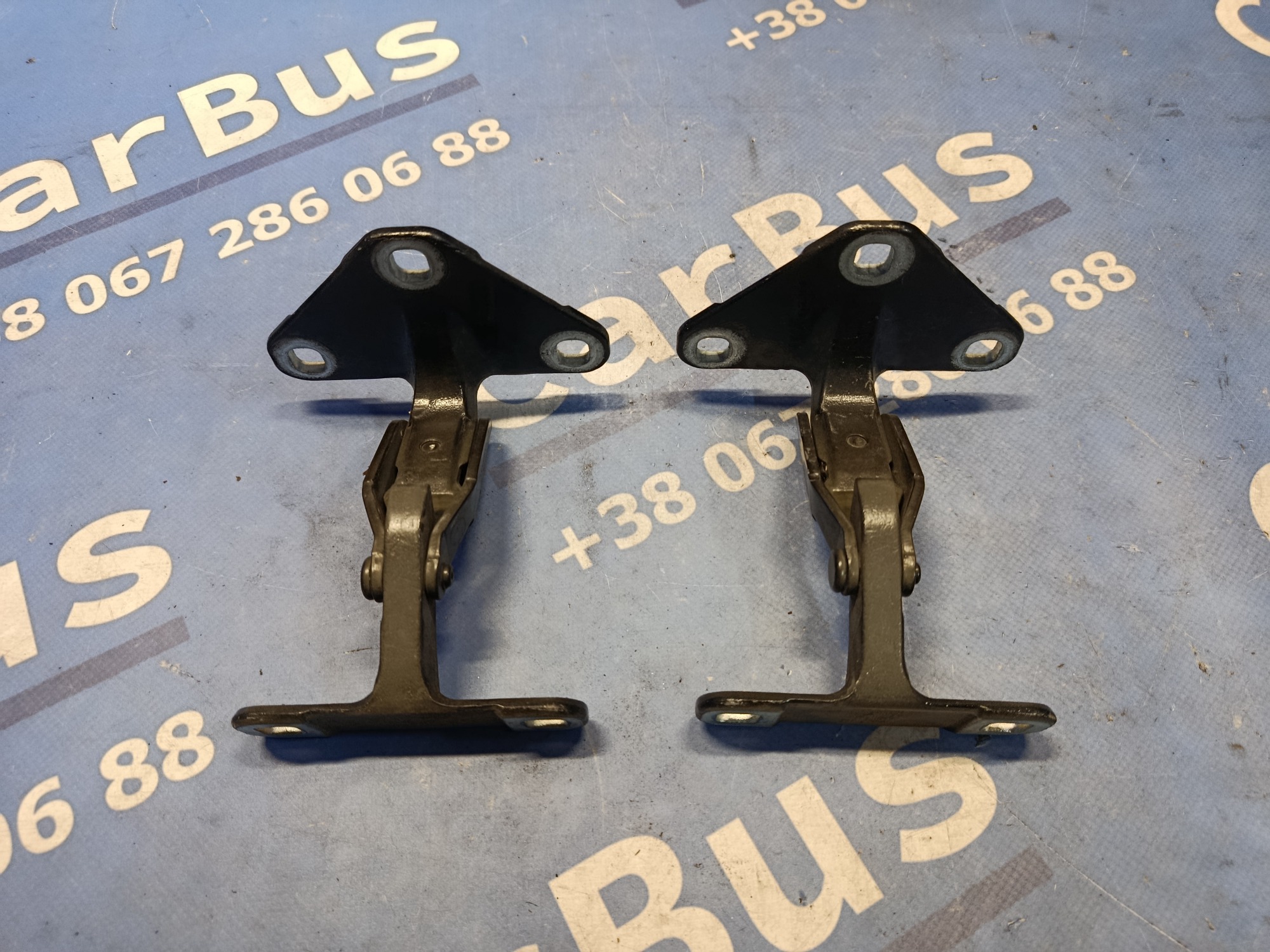 Петля крышки (двери) багажника BMW X5 E70 (2010-2013) рестайл - 1
