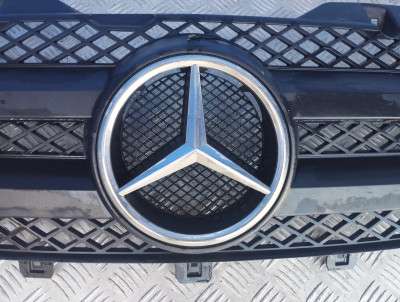 Решітка радіатора Mercedes-Benz Sprinter W 906 (2006-2014) дорестайл