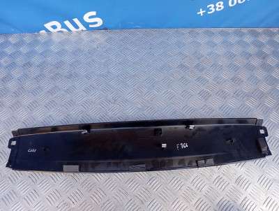 Накладка декоративна (молдинг) кришки (двері) багажника BMW X5 E70 (2007-2010) дорестайл - 3