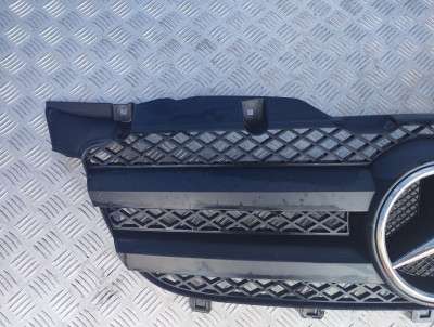 Решітка радіатора Mercedes-Benz Sprinter W 906 (2006-2014) дорестайл