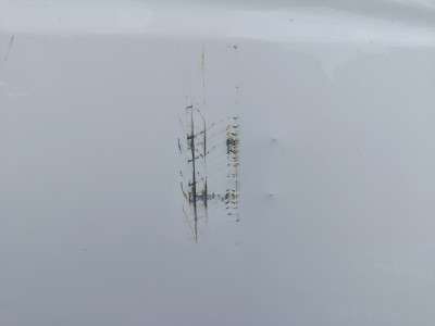 Дверь передняя правая Mercedes-Benz Vito W 639 (2003-2010) дорестайл