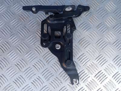 Петля капота права BMW X5 E70 (2007-2010) дорестайл