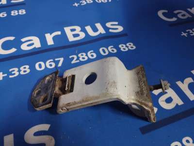 Петля двери распашной RENAULT MASTER III
