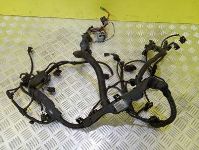Проводка (жгут проводів) BMW X5 E70 (2010-2013) рестайл