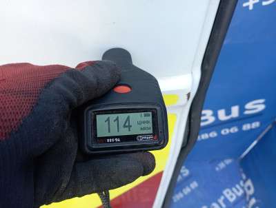 Двері розпашні задні ліві RENAULT MASTER III