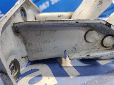 Петля двері розпашной Renault Trafic II, Opel Vivaro II, Nissan Primastar II (2006-2014) рестайл