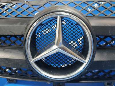 Решітка радіатора Mercedes-Benz Sprinter W 906 (2006-2014) дорестайл