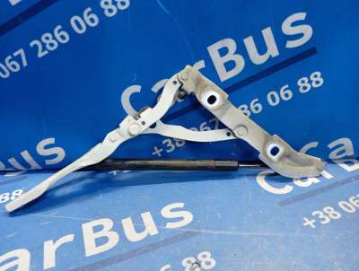 Петля крышки (двери) багажника BMW 3 E92 (2006-2010)